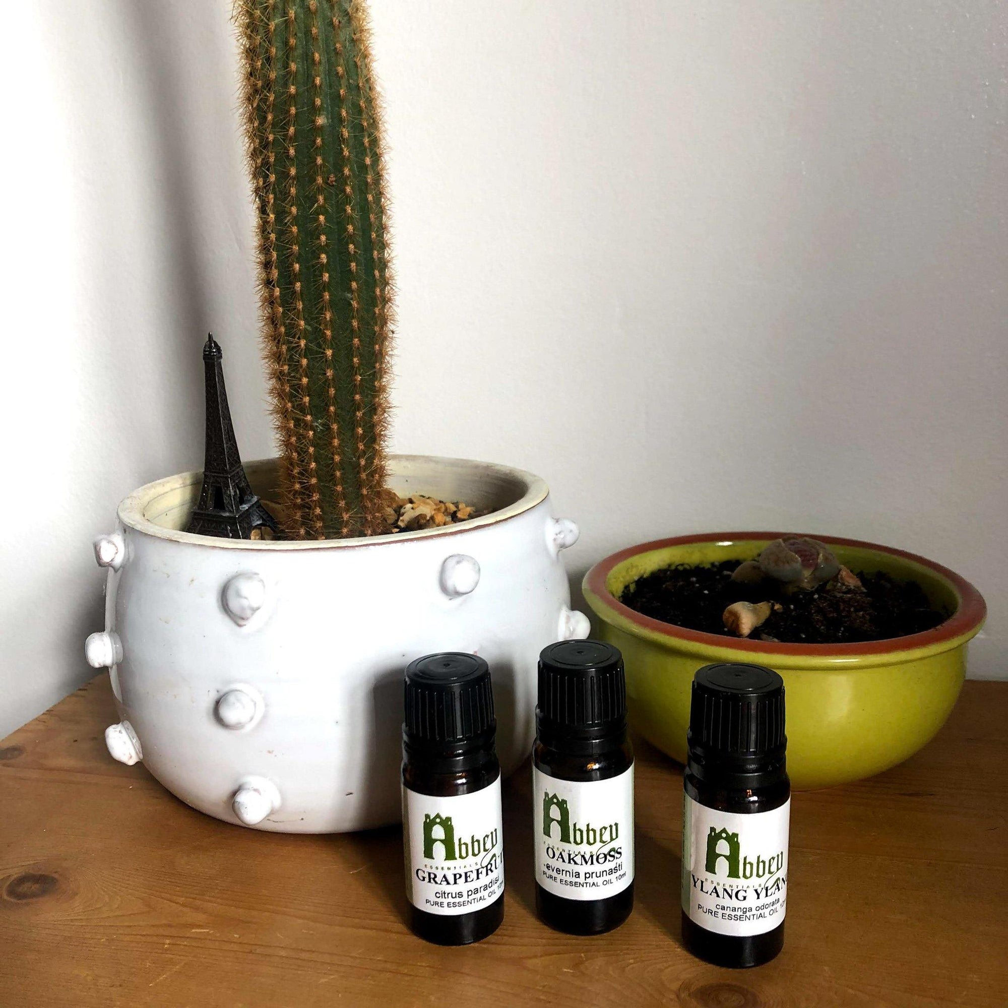 So halten Ihre ätherischen Öle länger – Abbey Essentials