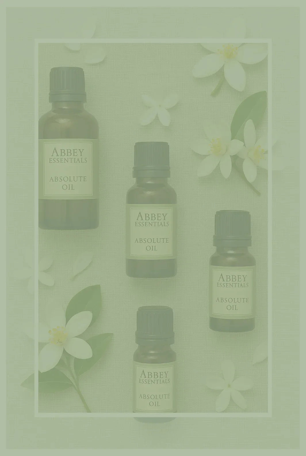 Absolute Oils - Abbey Essentials